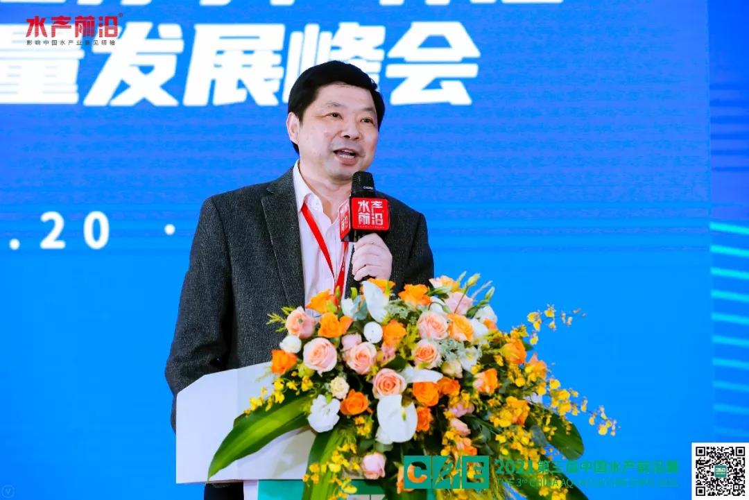 精彩报告