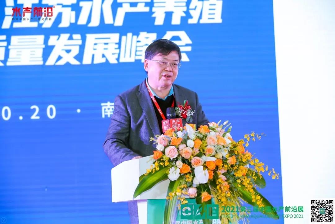 精彩报告