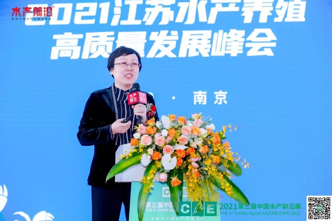 精彩报告