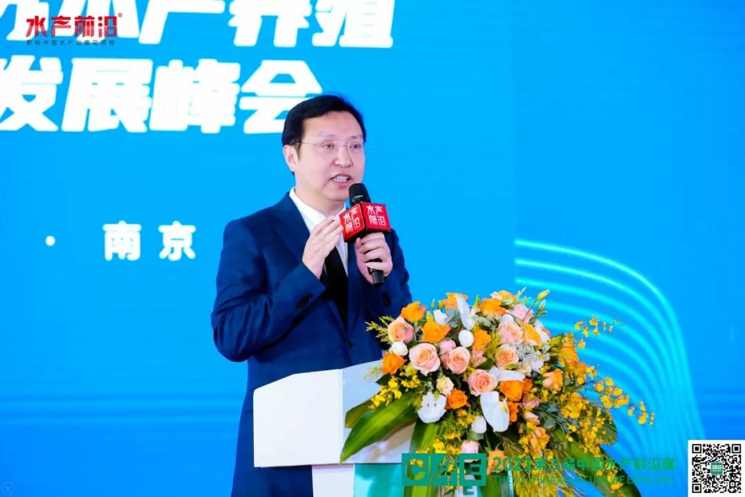 精彩报告