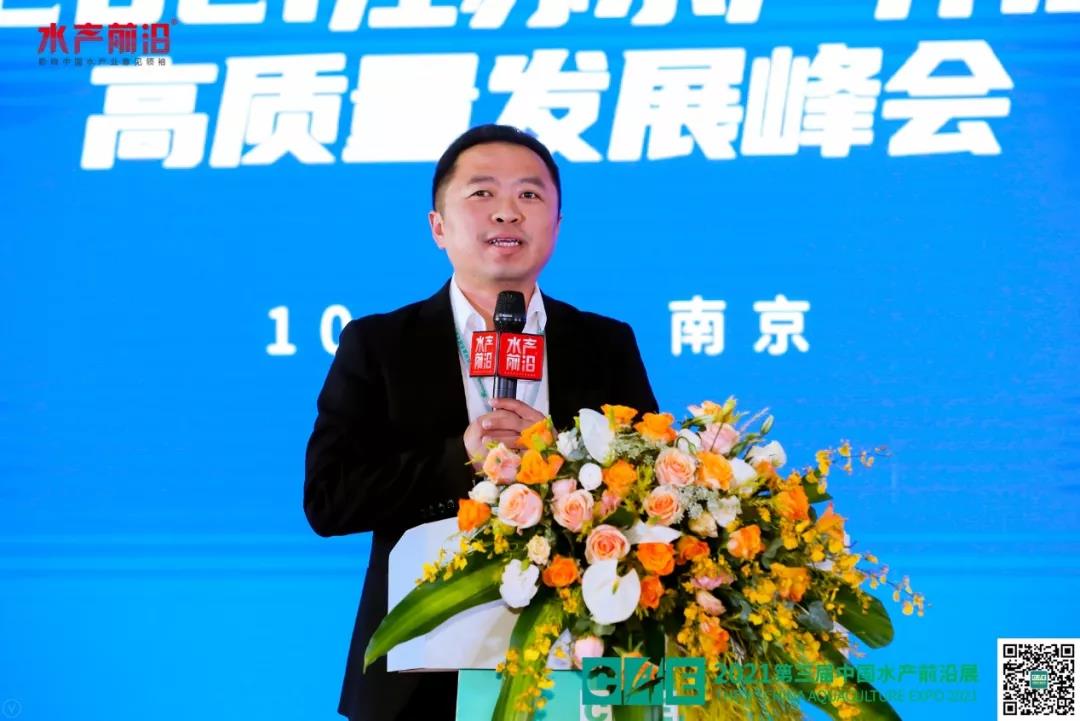 精彩报告