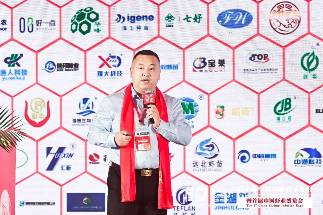 精彩报告