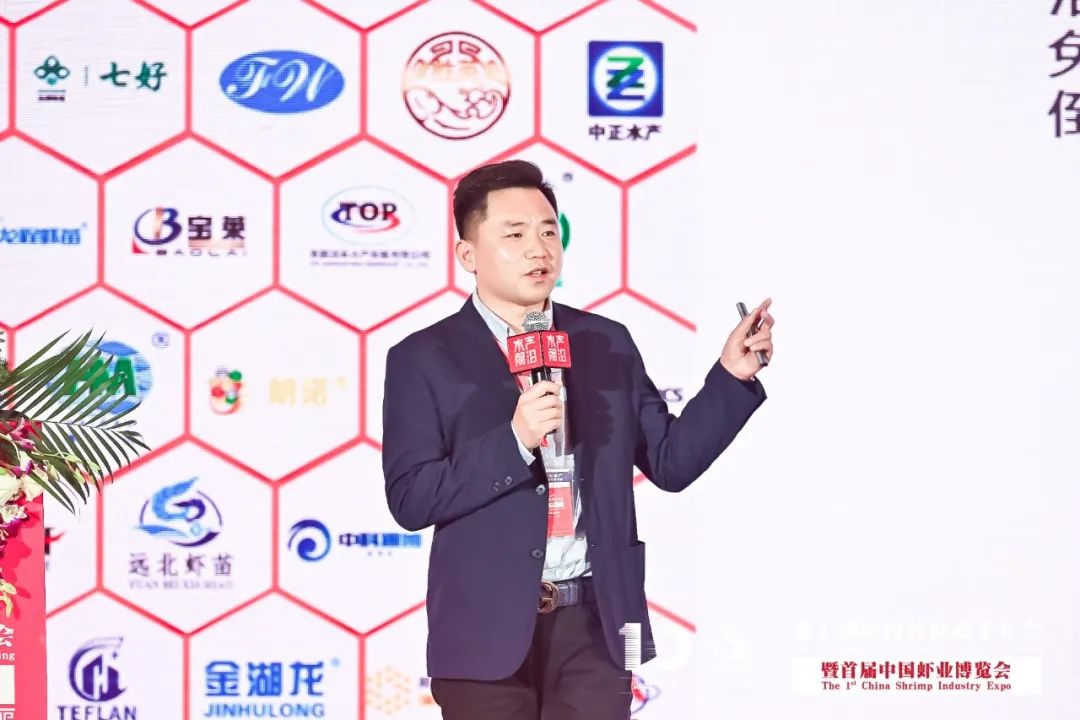 精彩报告