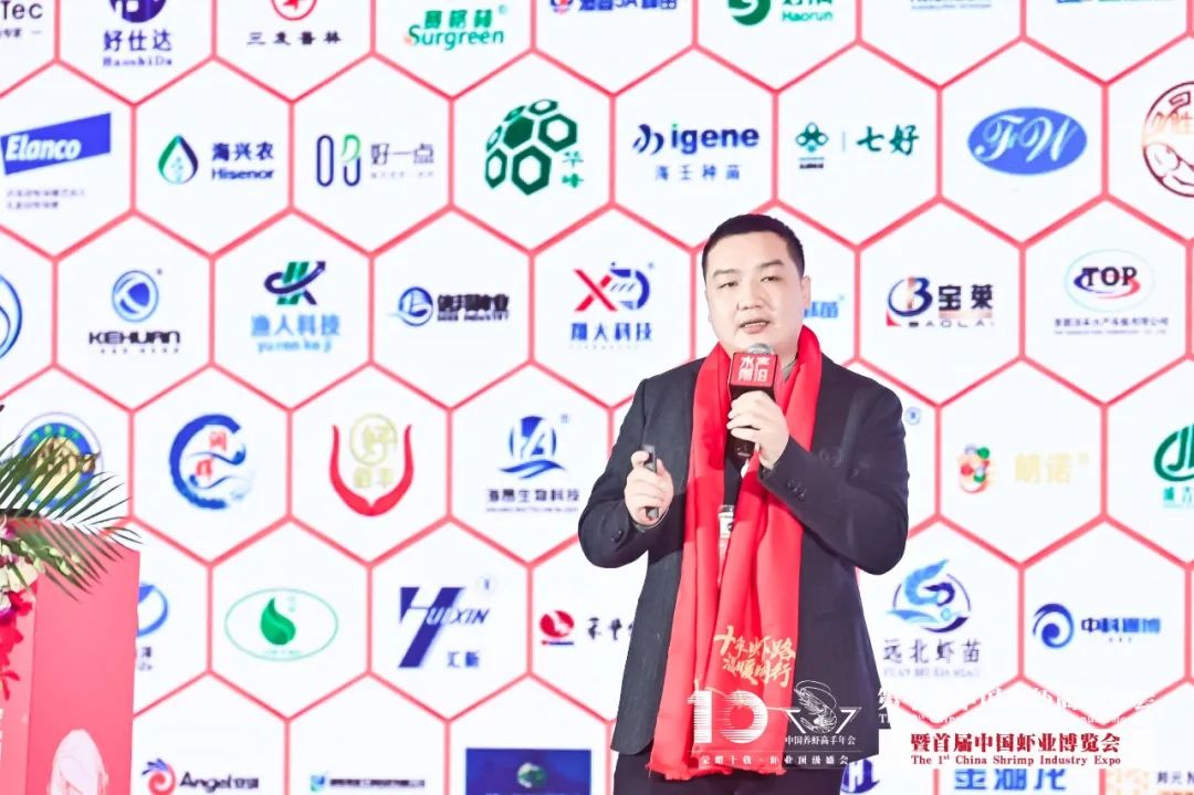 精彩报告