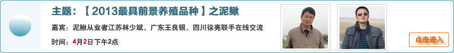 【2013最具前景养殖品种】之泥鳅