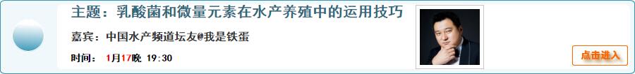 乳酸菌和微量元素在水产养殖中的运用技巧